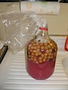 Fermenting in the Bottle