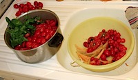 clean_tomatoes