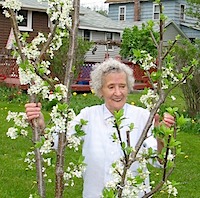 grandma_tree